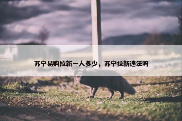 苏宁易购拉新一人多少，苏宁拉新违法吗