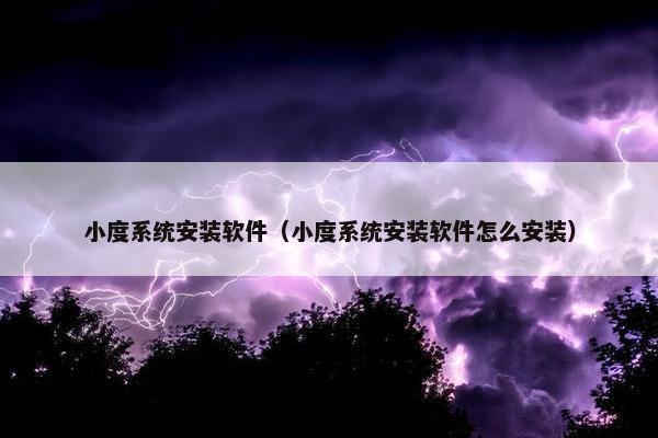 小度系统安装软件（小度系统安装软件怎么安装）