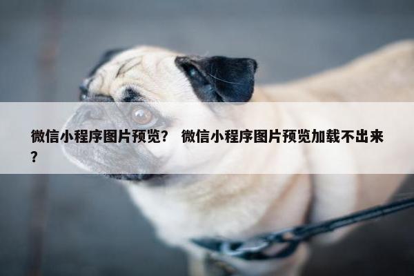 微信小程序图片预览？ 微信小程序图片预览加载不出来？