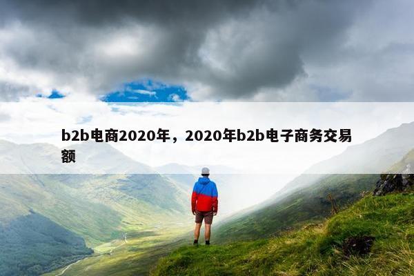 b2b电商2020年，2020年b2b电子商务交易额