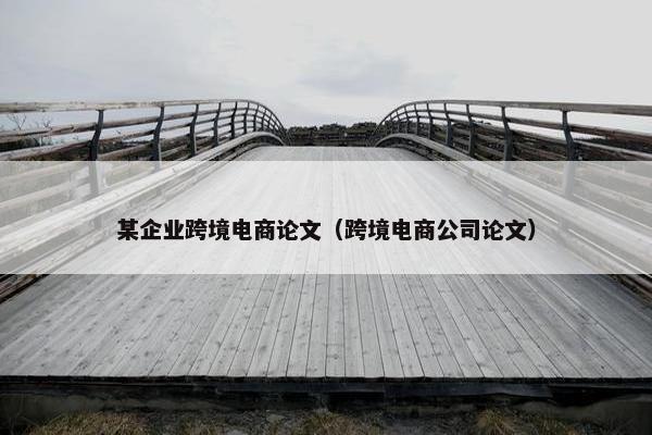 某企业跨境电商论文（跨境电商公司论文）