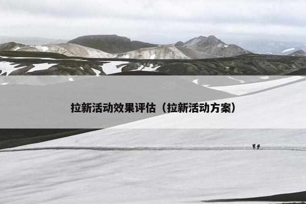 拉新活动效果评估（拉新活动方案）