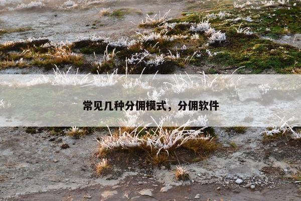 常见几种分佣模式，分佣软件