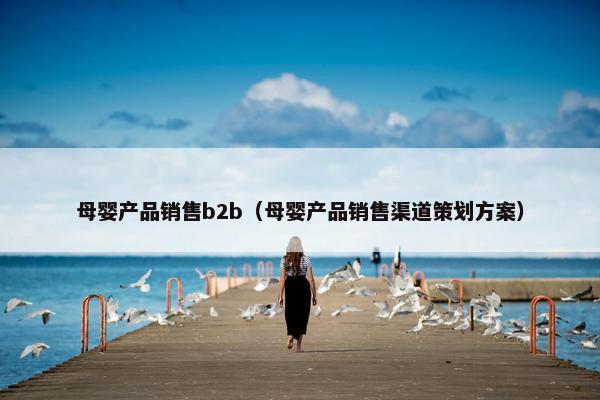 母婴产品销售b2b（母婴产品销售渠道策划方案）