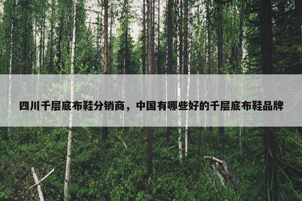 四川千层底布鞋分销商，中国有哪些好的千层底布鞋品牌
