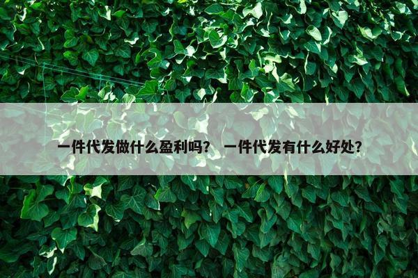 一件代发做什么盈利吗？ 一件代发有什么好处？