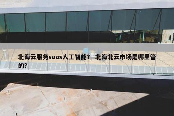北海云服务saas人工智能？ 北海北云市场是哪里管的？