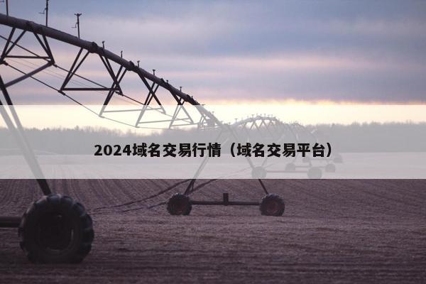 2024域名交易行情（域名交易平台）