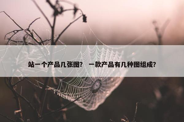 站一个产品几张图？ 一款产品有几种图组成？