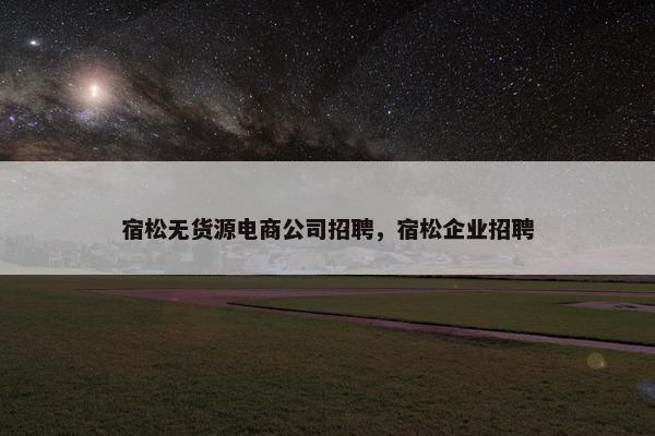 宿松无货源电商公司招聘，宿松企业招聘