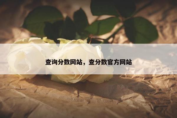 查询分数网站，查分数官方网站