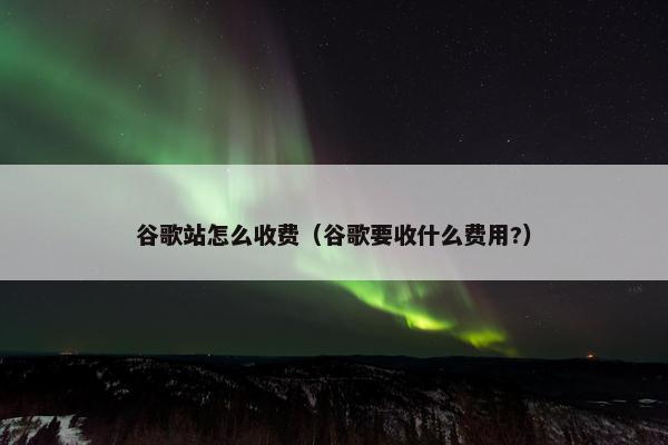 谷歌站怎么收费（谷歌要收什么费用?）