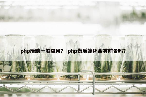 php后端一般应用？ php做后端还会有前景吗？