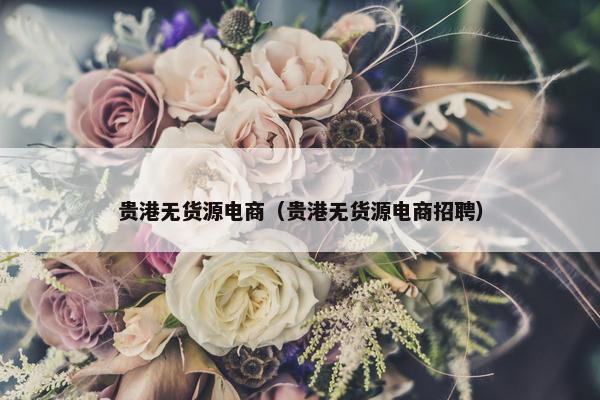贵港无货源电商（贵港无货源电商招聘）
