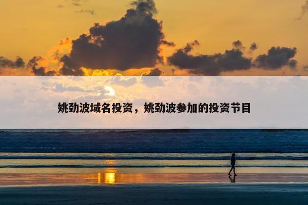 姚劲波域名投资，姚劲波参加的投资节目