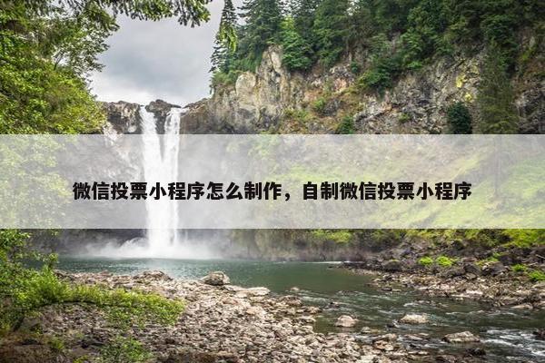 微信投票小程序怎么制作，自制微信投票小程序