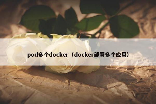 pod多个docker（docker部署多个应用）