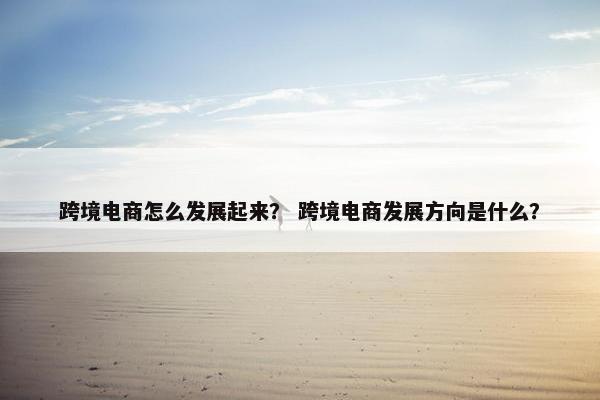 跨境电商怎么发展起来？ 跨境电商发展方向是什么？