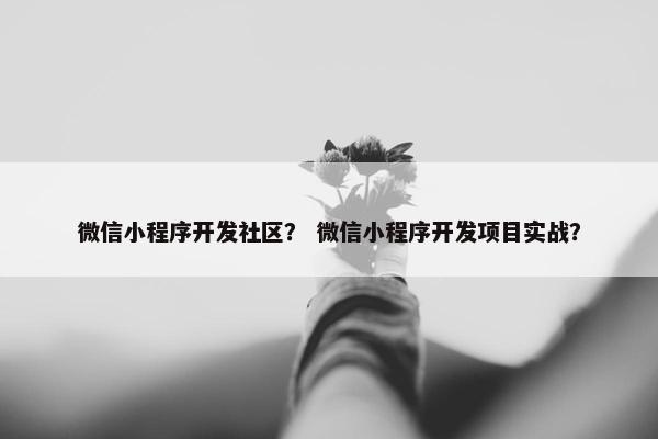 微信小程序开发社区？ 微信小程序开发项目实战？