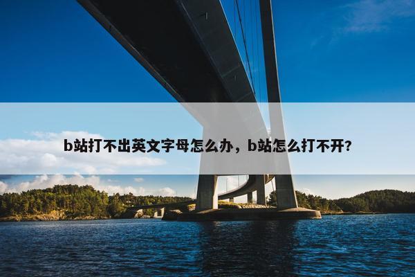 b站打不出英文字母怎么办，b站怎么打不开?