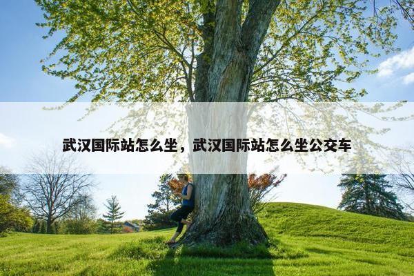武汉国际站怎么坐，武汉国际站怎么坐公交车