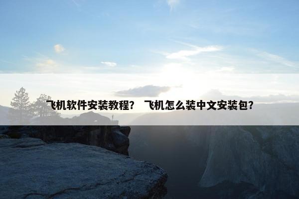 飞机软件安装教程？ 飞机怎么装中文安装包？