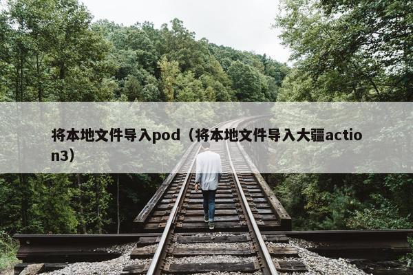 将本地文件导入pod（将本地文件导入大疆action3）
