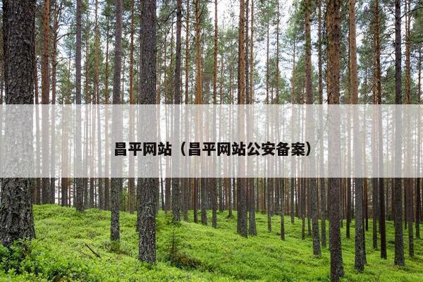 昌平网站（昌平网站公安备案）