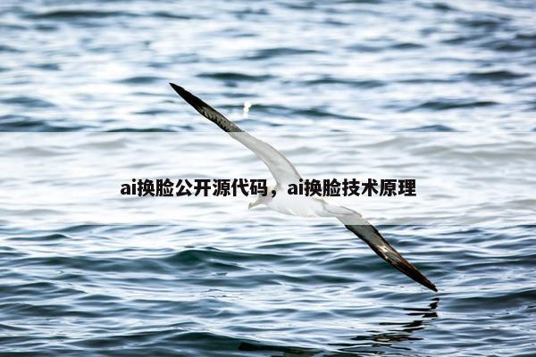 ai换脸公开源代码，ai换脸技术原理
