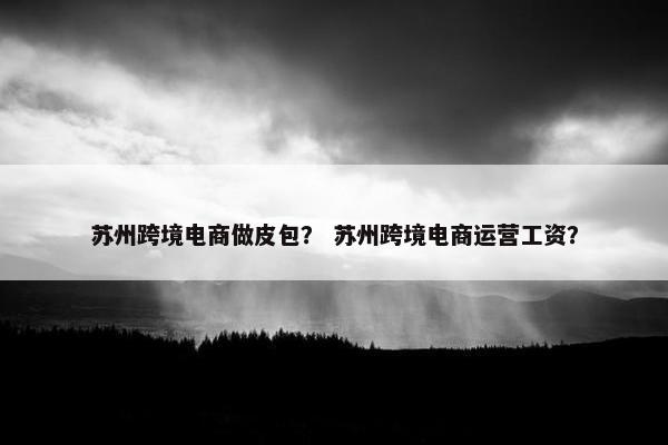 苏州跨境电商做皮包？ 苏州跨境电商运营工资？