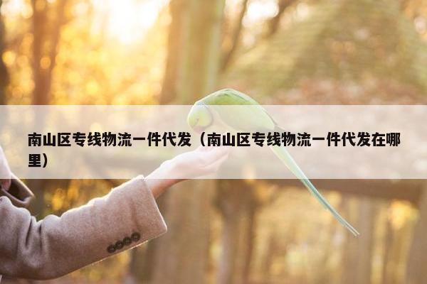 南山区专线物流一件代发（南山区专线物流一件代发在哪里）