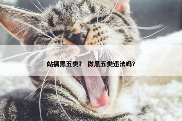 站搞黑五类？ 做黑五类违法吗？