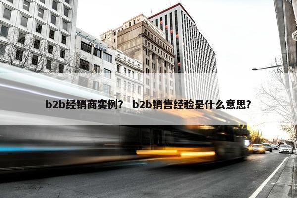 b2b经销商实例？ b2b销售经验是什么意思？
