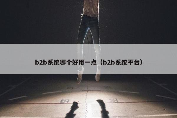 b2b系统哪个好用一点（b2b系统平台）