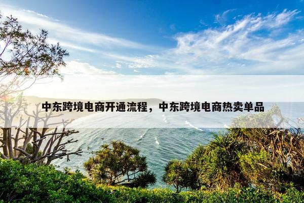 中东跨境电商开通流程，中东跨境电商热卖单品