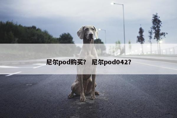 尼尔pod购买？ 尼尔pod042？