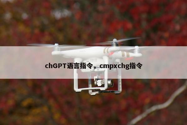 chGPT语言指令，cmpxchg指令