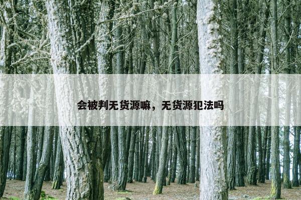 会被判无货源嘛，无货源犯法吗