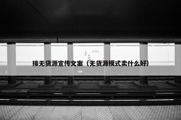 接无货源宣传文案（无货源模式卖什么好）