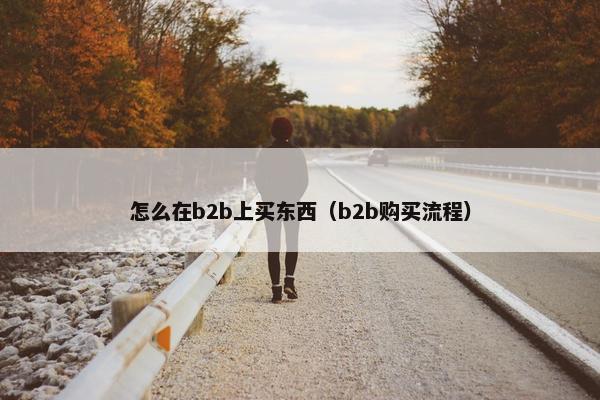 怎么在b2b上买东西（b2b购买流程）