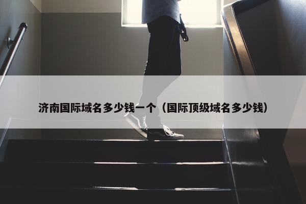 济南国际域名多少钱一个（国际顶级域名多少钱）
