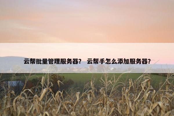 云帮批量管理服务器？ 云帮手怎么添加服务器？