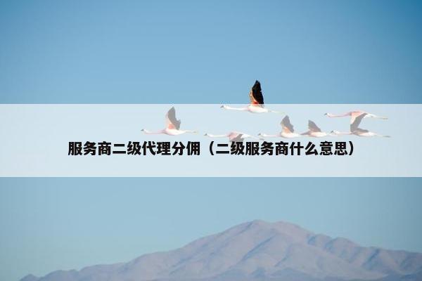 服务商二级代理分佣（二级服务商什么意思）