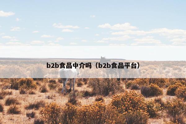 b2b食品中介吗（b2b食品平台）