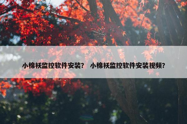 小棉袄监控软件安装？ 小棉袄监控软件安装视频？