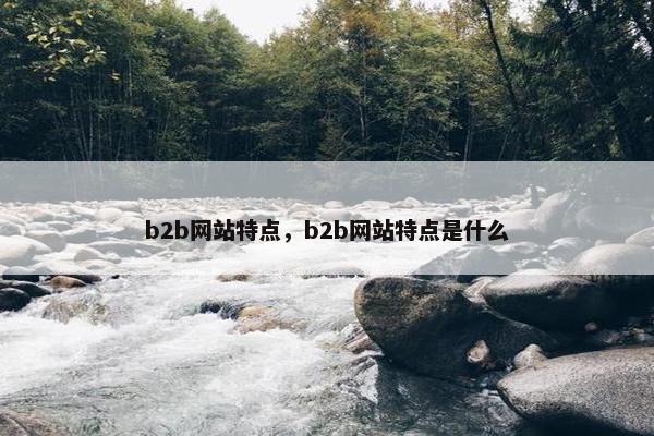 b2b网站特点，b2b网站特点是什么