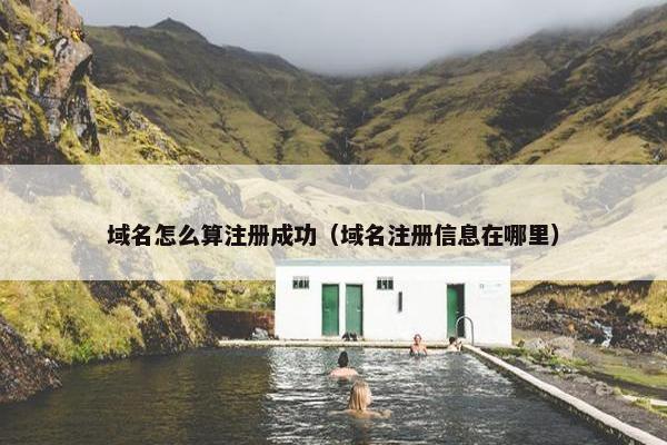 域名怎么算注册成功（域名注册信息在哪里）