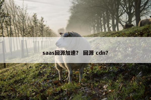 saas回源加速？ 回源 cdn？