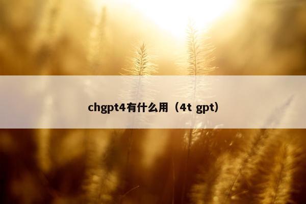 chgpt4有什么用（4t gpt）
