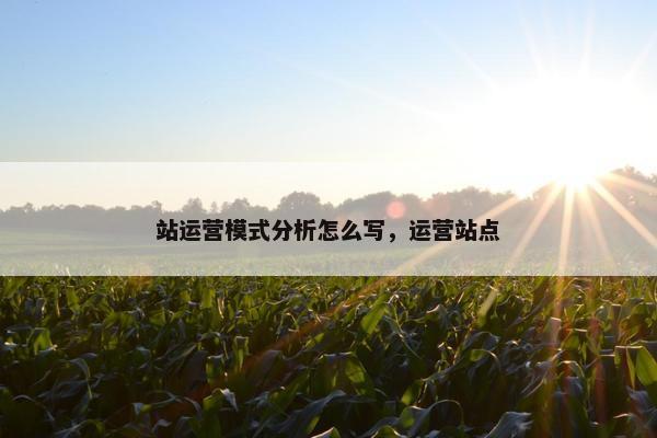 站运营模式分析怎么写，运营站点